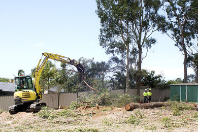 Tree Removal and Land Clearing