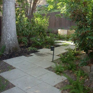 Modern Garden