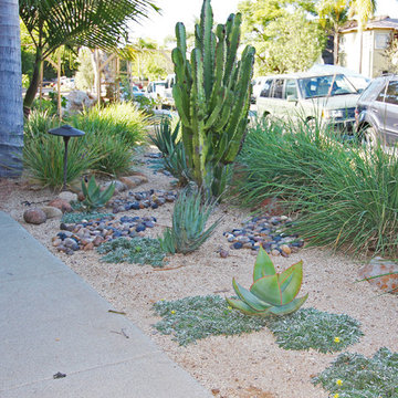 Aloes