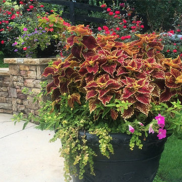 Hardscapes