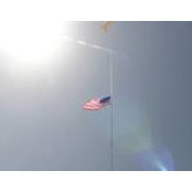 Kim Hartzog's photo