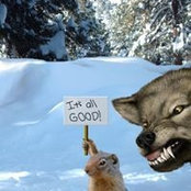 David Molnar's photo