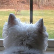 Pam Taggart's photo