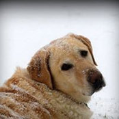 Foto von Connie Scott