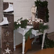Stefanie Krones's photo