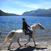 Stacie Neeters foto