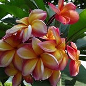 Melanie Grabinger's photo