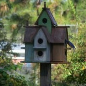 Cheryl Madray's photo