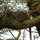angela_hartle