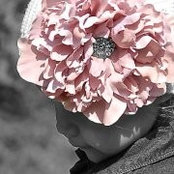 Stephanie Summerss foto