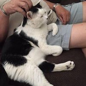 Traci O'Connor's photo