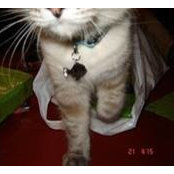 Sari Becker's photo