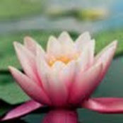 Foto de Ming Lam