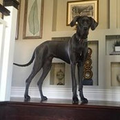 Patrick Lancaster's photo