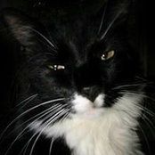 Emory Saladin's photo