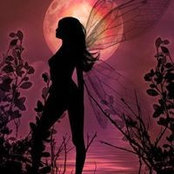 Betsy Williams's photo