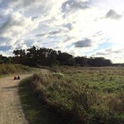 Jordan Temkin's photo