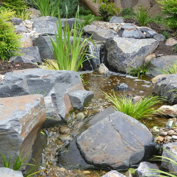 Camberwell Japanese garden stream