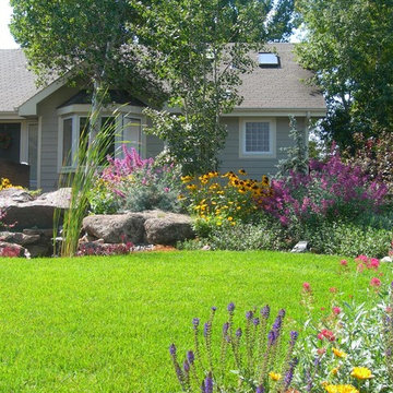 Big Perennial Color Brings Life to Mid-Town Fort Collins
