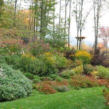 Hillside garden