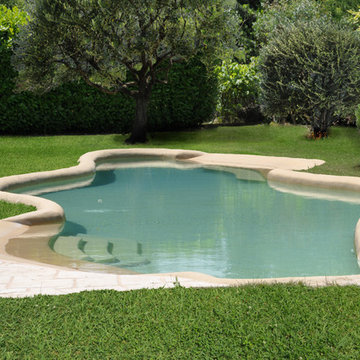 Piscine nature