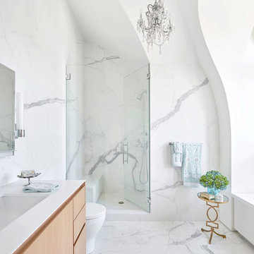 Lincoln Park Penthouse