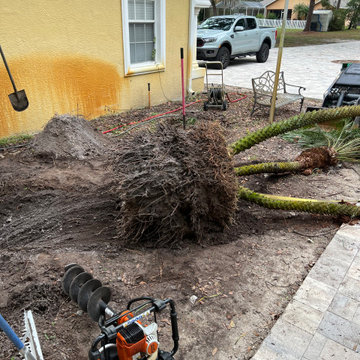 Landscape Demo / Robellini removal