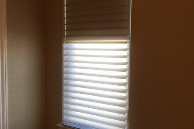 Hunter Douglas Deux Silhouettes Motorized Shades