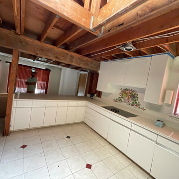 Kitchen Remodels