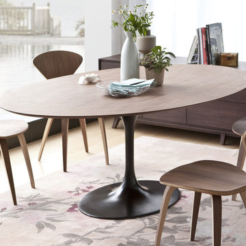 Mid Century Classics With A Modern Touch