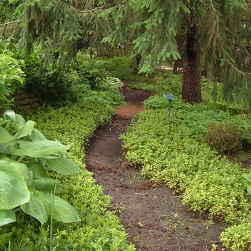 Garden pathway
