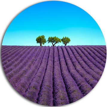 Lavender Flowers And Uphill Green Trees, Landscape Disc Artwork, 23"