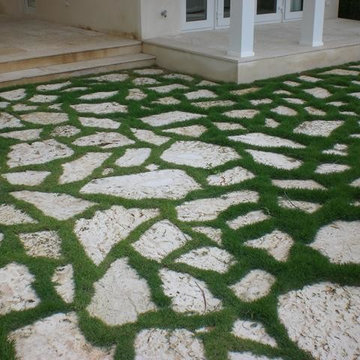 Calypso Coral (dominican coral stone) By Coral Classics