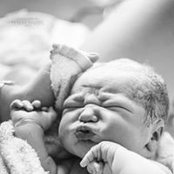 Dianne Hamre's photo