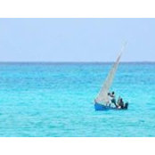 Timothy Froggatt's photo
