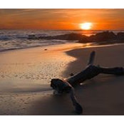 Rosemarie Scampas's photo