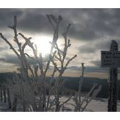 Benoit Ruggeri's photo