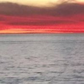 Tina May's photo