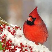 Judy Caldwell's photo
