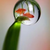 Mignon Smithさんの写真