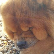 Lorraine Jacques's photo