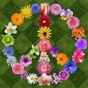 Paula Proctor's photo