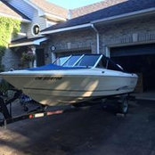 Shane Hollett's photo