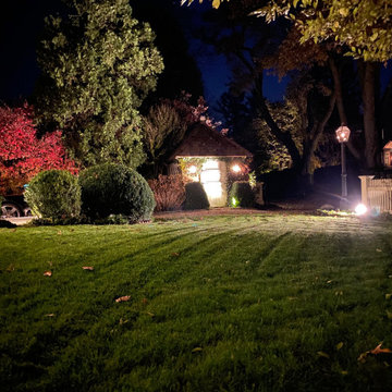 Beauty in the dark