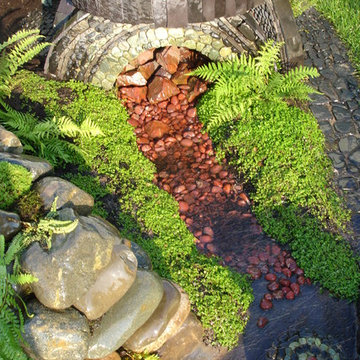 Fern garden