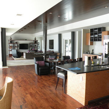 Contemporary- Whole House Remodel