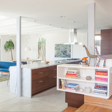 Los Feliz House
