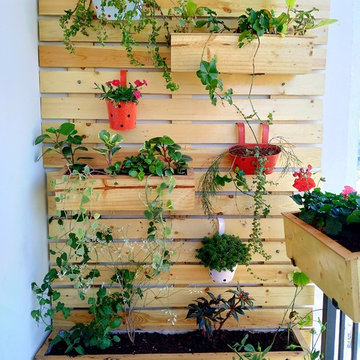 Sky Gardens