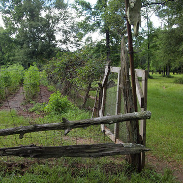 My Houzz: Rural Home in Louisiana
