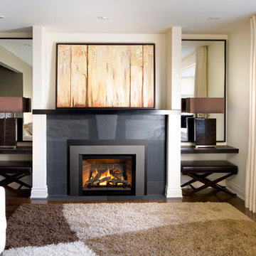 Gas Fireplace Inserts